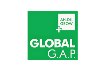 csm_AH_DLL_GROW_17402fb3cf